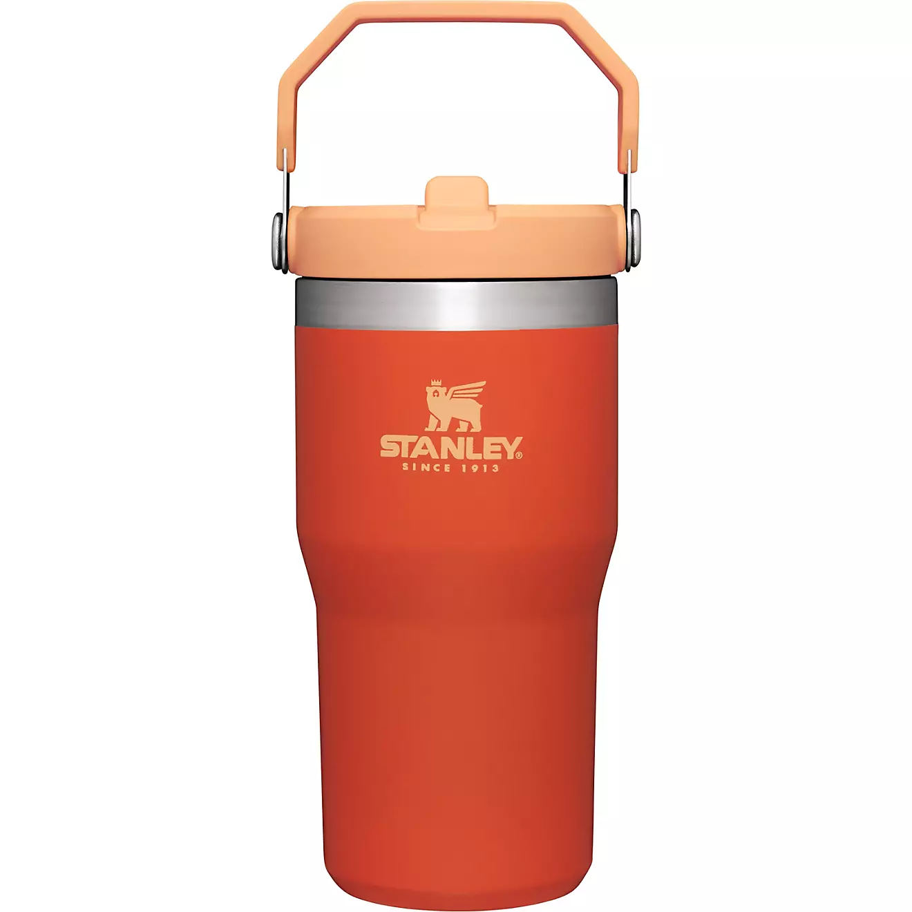 Stakhjgnley The IceFlow 20 oz Classic Flip Straw Tumbler