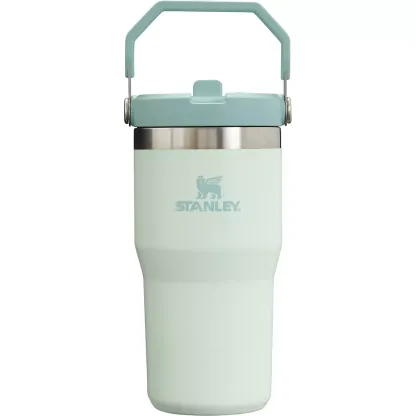 Stakhjgnley The IceFlow 20 oz Classic Flip Straw Tumbler