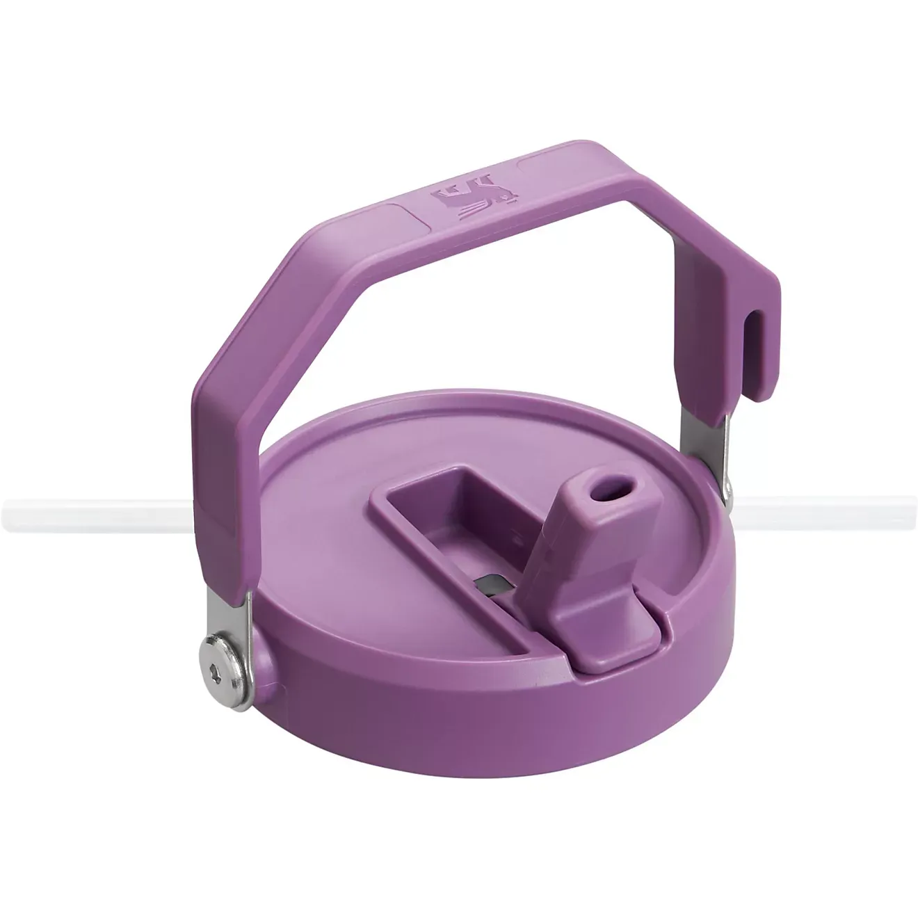 Stakhjgnley The IceFlow 64 oz Classic Flip Straw Water Jug