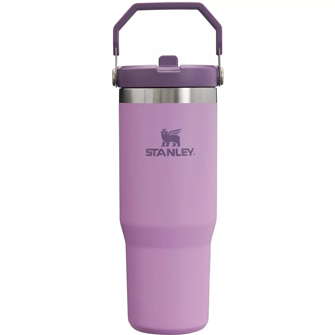 Stakhjgnley The IceFlow 30 oz Classic Flip Straw Tumbler