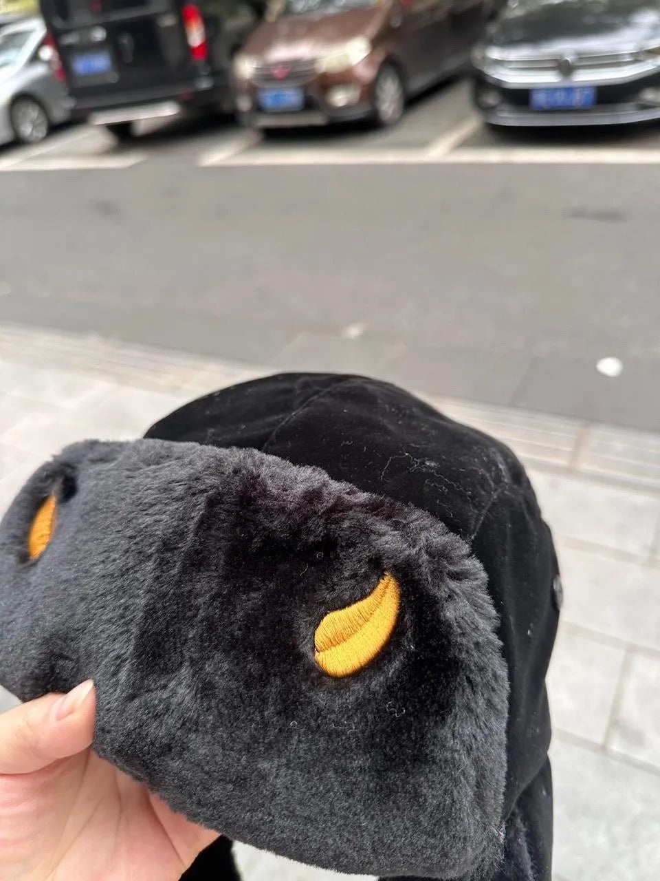 WEATHER REPORT EMBROIDERED USHANKA | JOJO