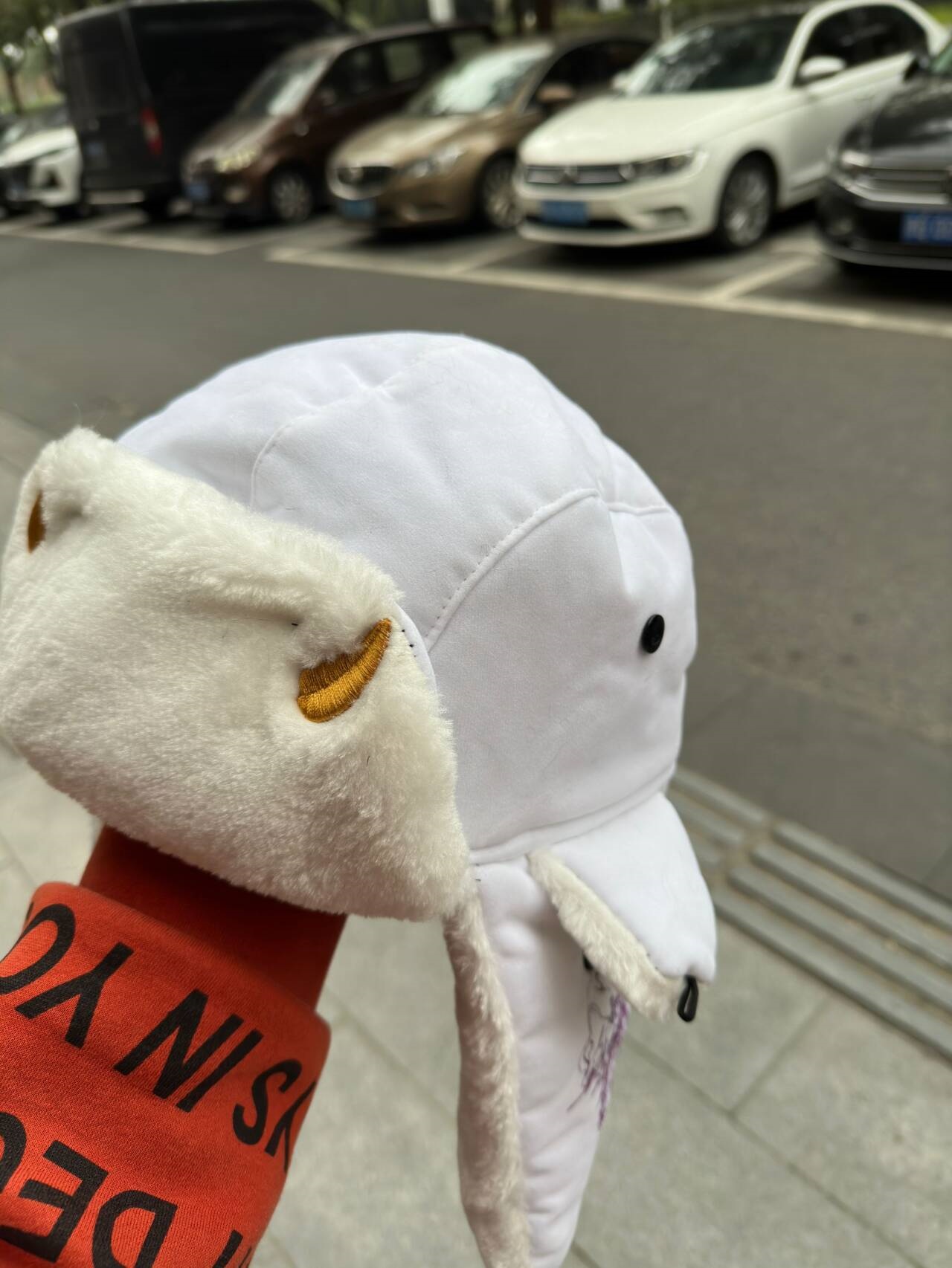 WEATHER REPORT EMBROIDERED USHANKA | JOJO