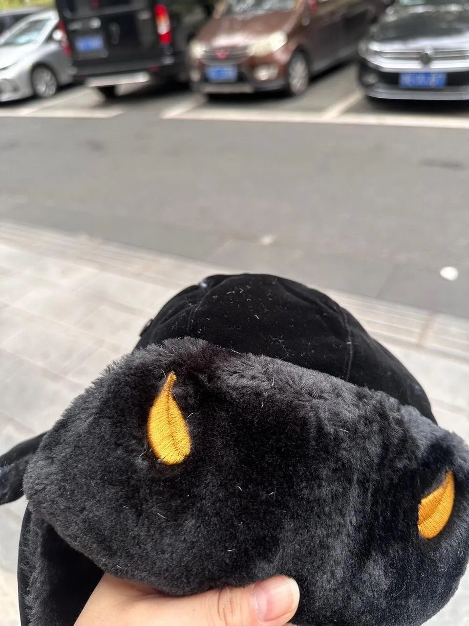 WEATHER REPORT EMBROIDERED USHANKA | JOJO