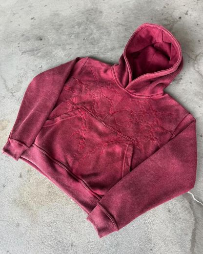 Embroidered  hoodie-IYAMIUIO
