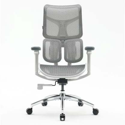 S100 Ergonomic Office Chair with Double Dynamic Lumbar Support