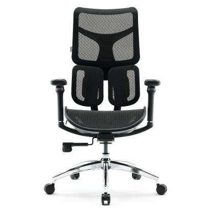 S100 Ergonomic Office Chair with Double Dynamic Lumbar Support
