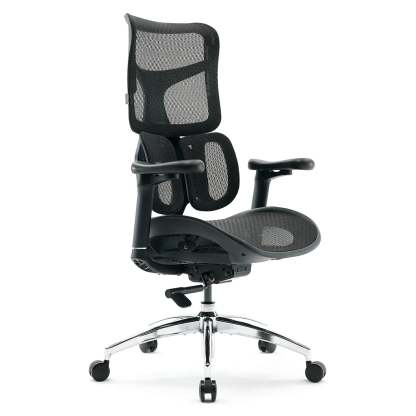 S100 Ergonomic Office Chair with Double Dynamic Lumbar Support