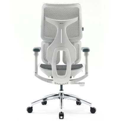 S100 Ergonomic Office Chair with Double Dynamic Lumbar Support