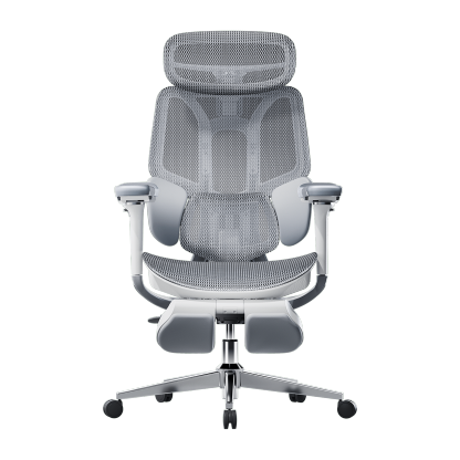  E3 Pro Ergonomic Office Chair