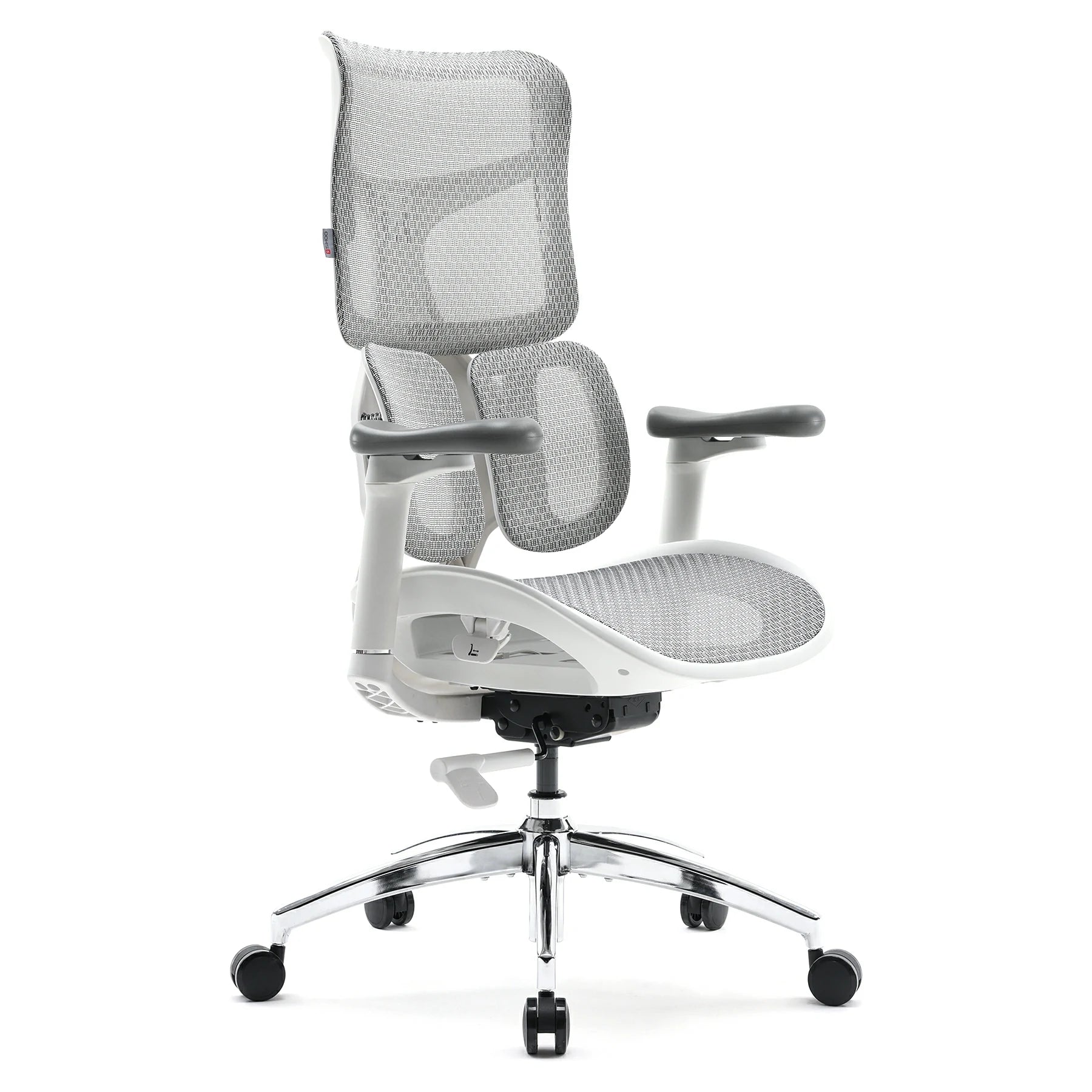 S100 Ergonomic Office Chair with Double Dynamic Lumbar Support