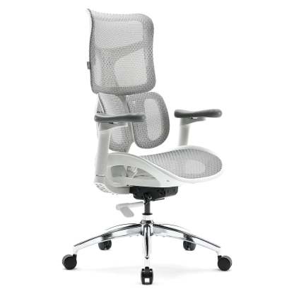 S100 Ergonomic Office Chair with Double Dynamic Lumbar Support