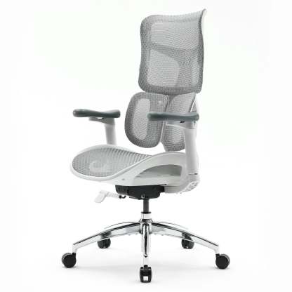 S100 Ergonomic Office Chair with Double Dynamic Lumbar Support