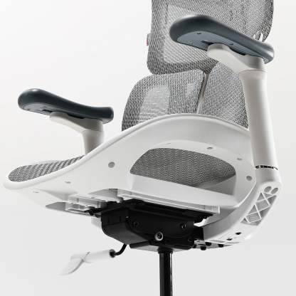 S100 Ergonomic Office Chair with Double Dynamic Lumbar Support