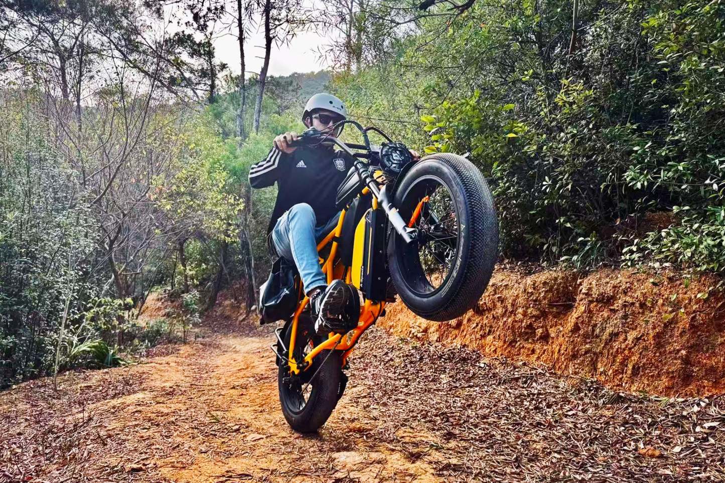 CAVET Air Motorbike Style Ebike