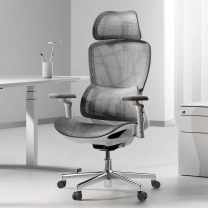  E2 Pro Ergonomic Office Chair without Footrest