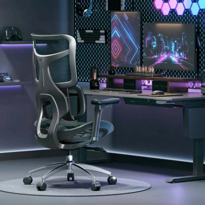S100 Ergonomic Office Chair with Double Dynamic Lumbar Support