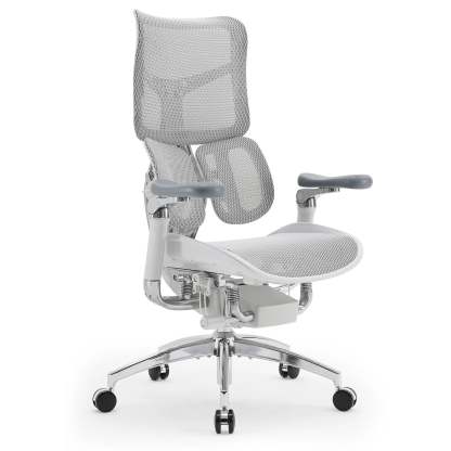 S300 "Gravity-Defying" Ergonomic Chair