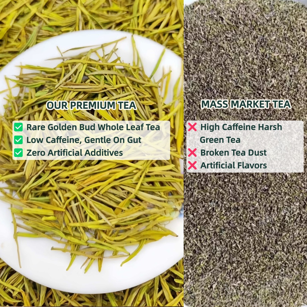 Golden Bud Green Tea