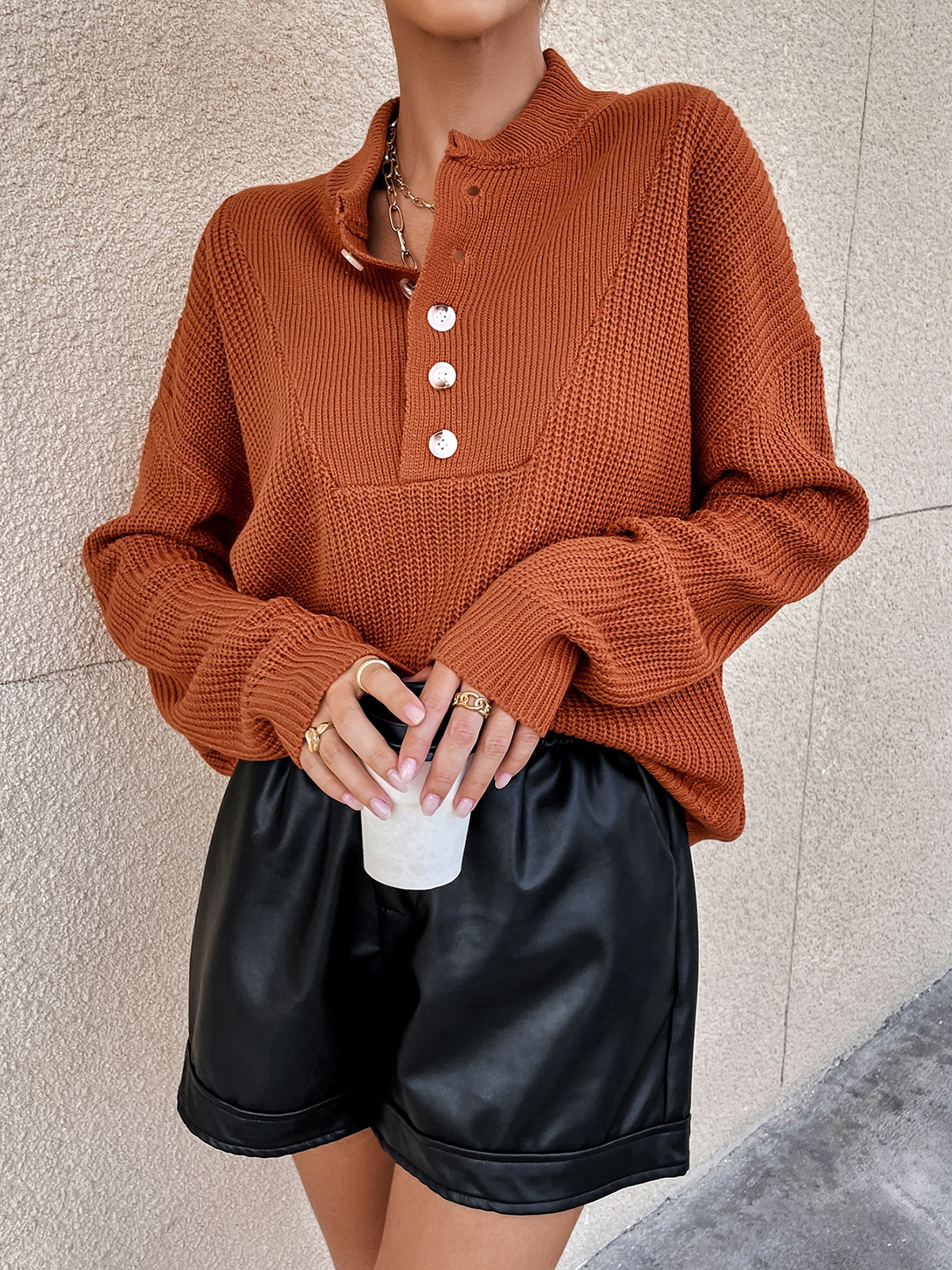 Polo Button Pullover Sweater