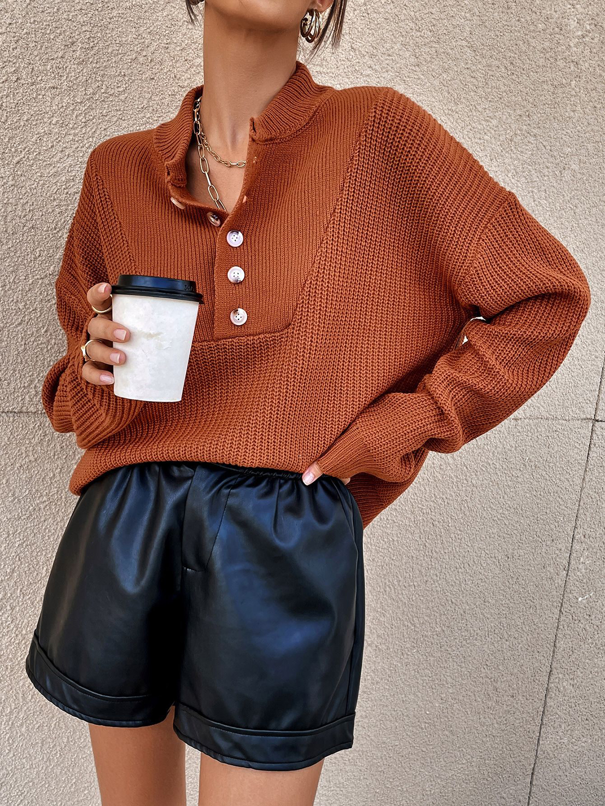 Polo Button Pullover Sweater