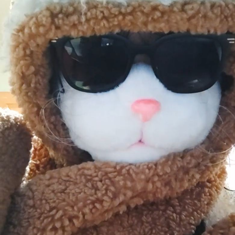 🔥 Viral-Worthy Cat Mask Alert! 🔥Movable Jaw - Therian Cat Mask【Realistic Cat Nose】