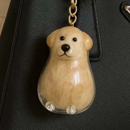🐾Pet Hair Memorial Capsule Keychain