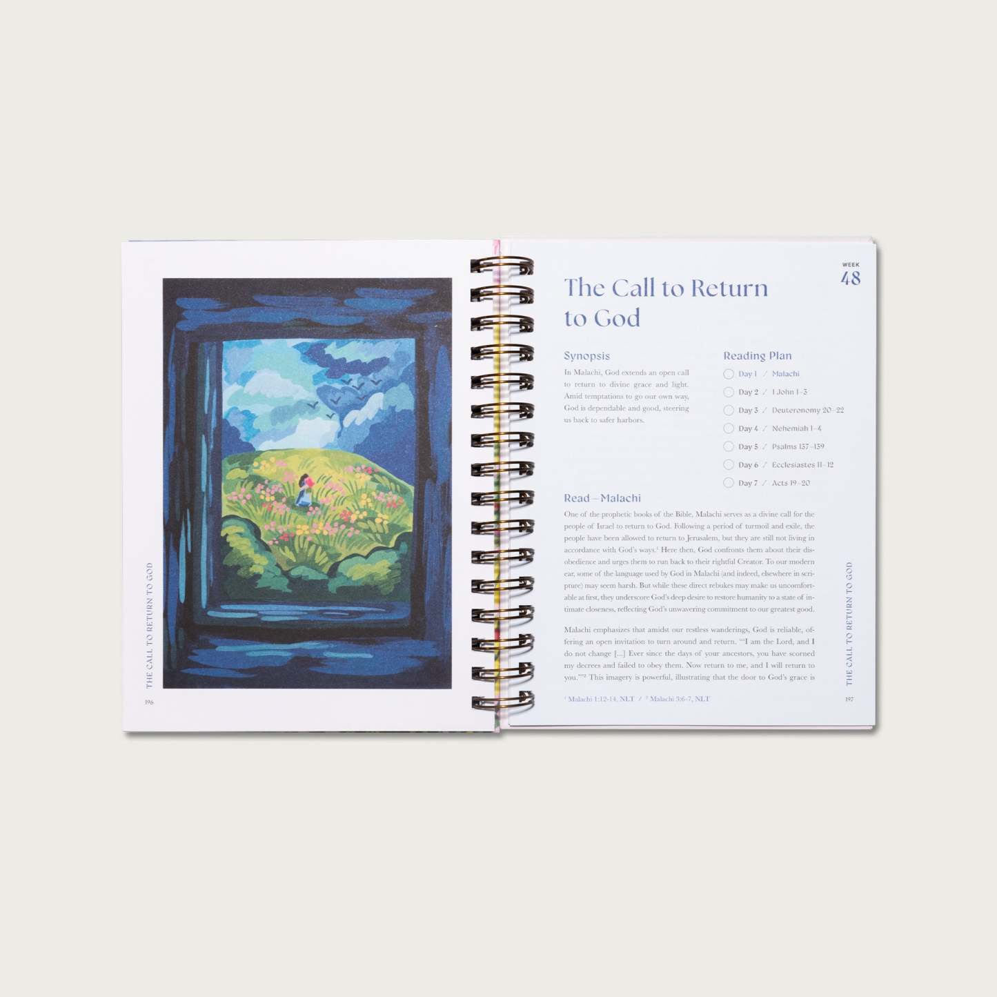 A Beautiful Year in the Bible: The 52-Week Bible Study for Women