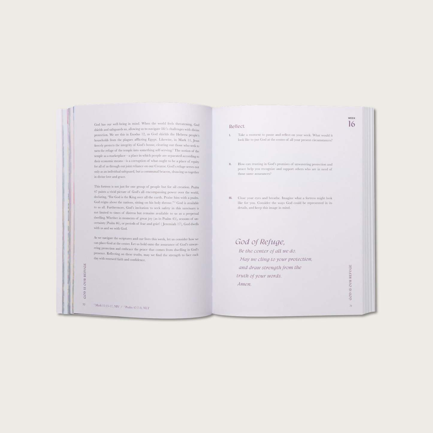A Beautiful Year in the Bible: The 52-Week Bible Study for Women