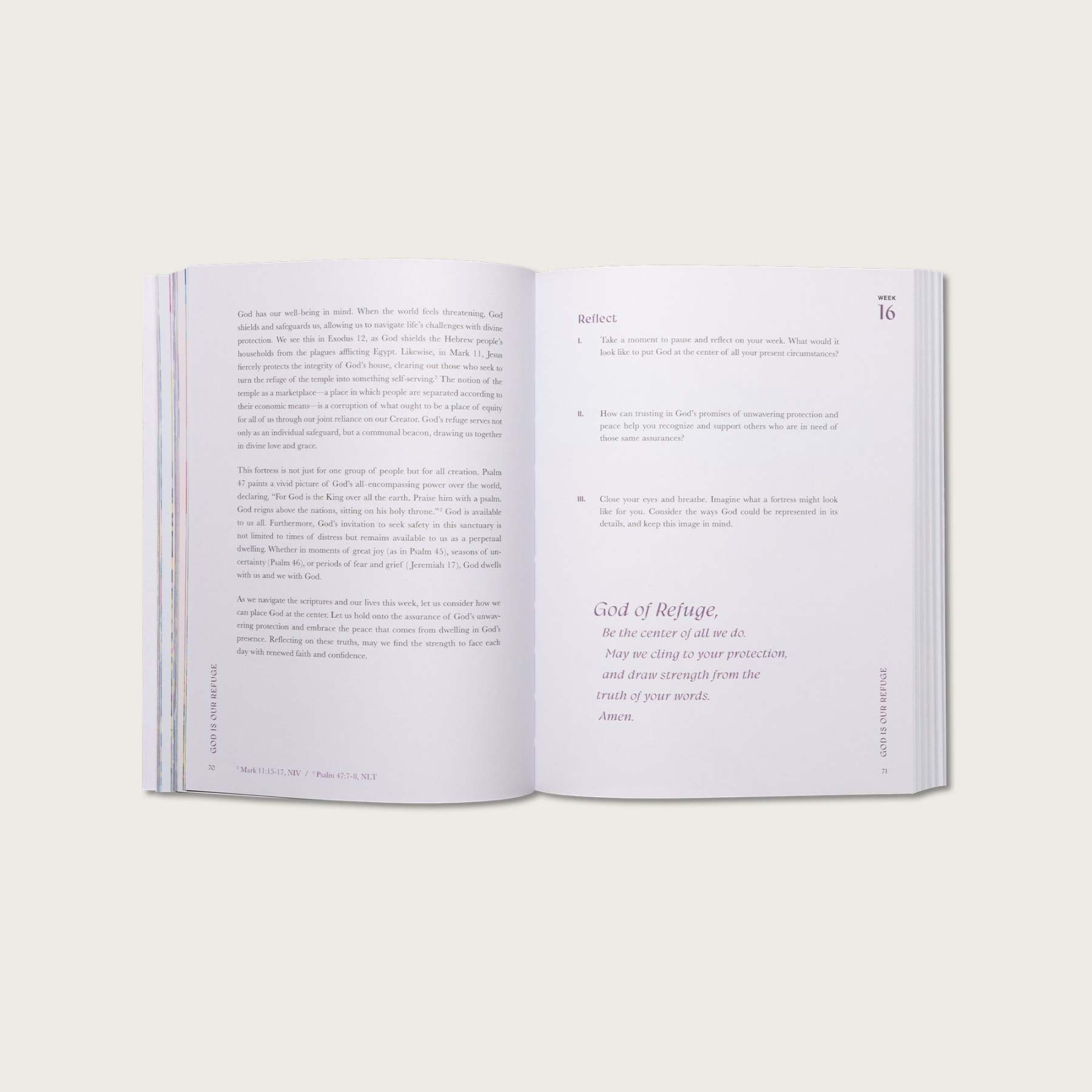 A Beautiful Year in the Bible: The 52-Week Bible Study for Women