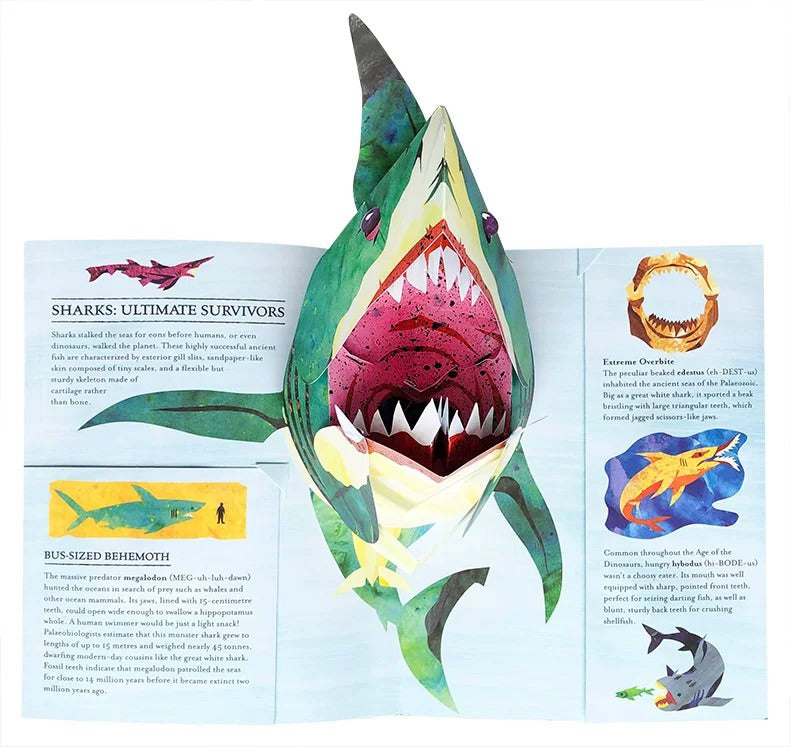 🔥Last Day 49% OFF 🏆3D Dinosaur Pop-Up Adventure
