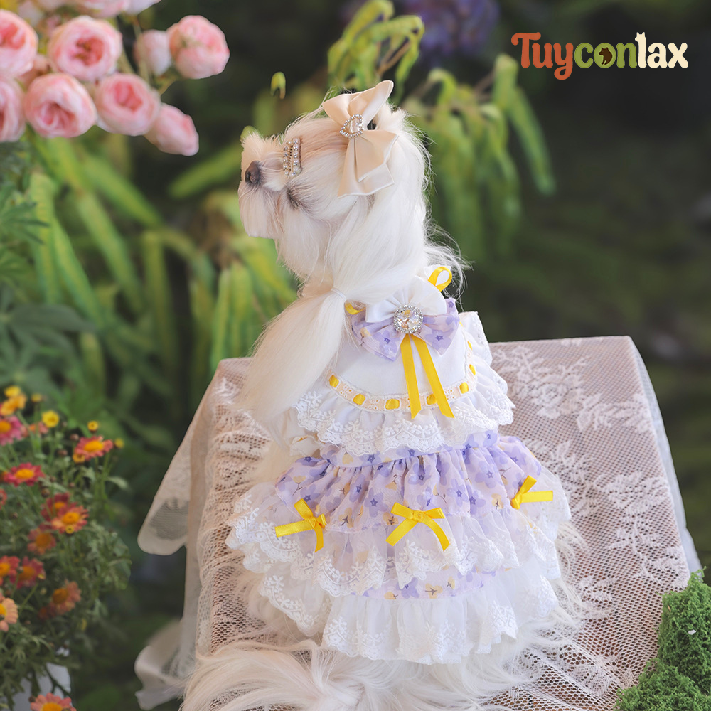 Lavender lace puppy princess dress | French country spring boutique small dog clothing