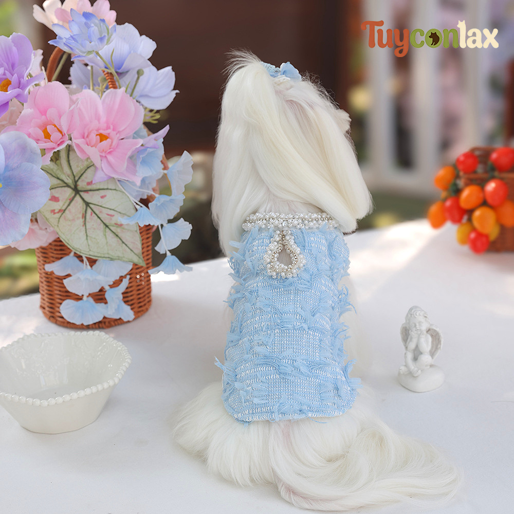 Luxury Blue Tweed Dog Dress | Elegant Boutique Dress for Small Dogs