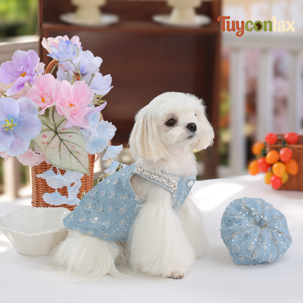 Luxurious light blue tweed dog dress | Haute couture boutique small dog clothing