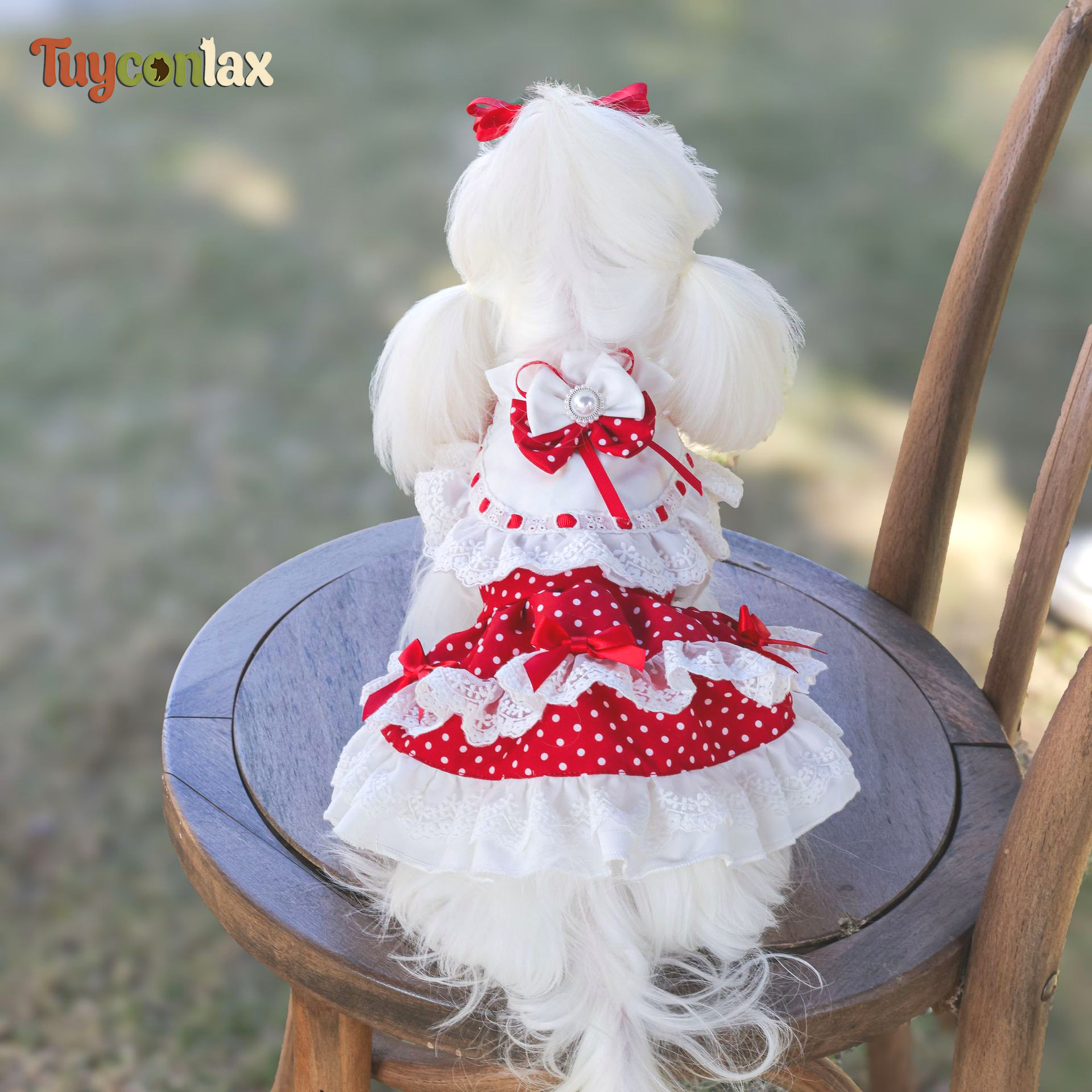 Red Polka Dot Princess Dog Dress | Boutique Lace Ruffle Dress for Small Dogs