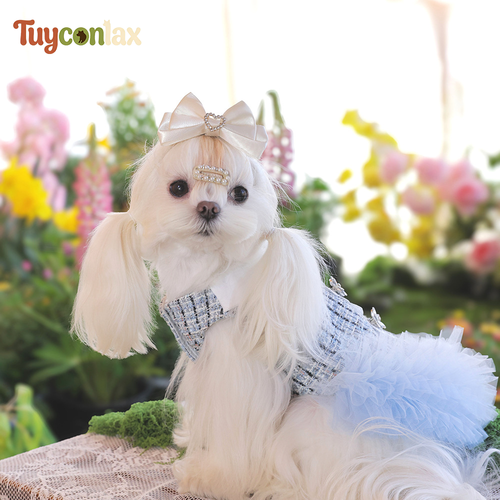 Luxury Blue Tweed Dog Dress | French Boutique Dress for Small Dogs