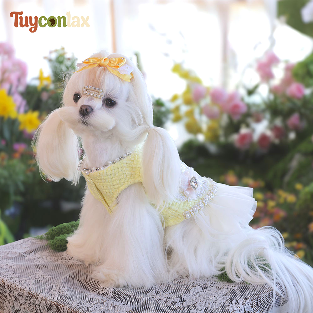 Yellow Tweed Tulle Dog Dress | Spring French Inspired Princess Gown for Small Dogs