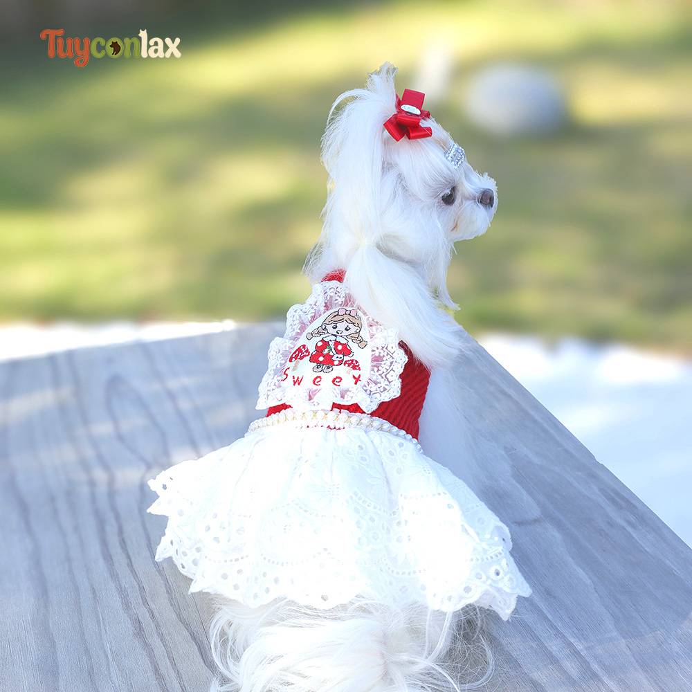 Red Knit Lace Dog Slip Dress | Fall Winter Cartoon Print Pet Princess Tutu Gown