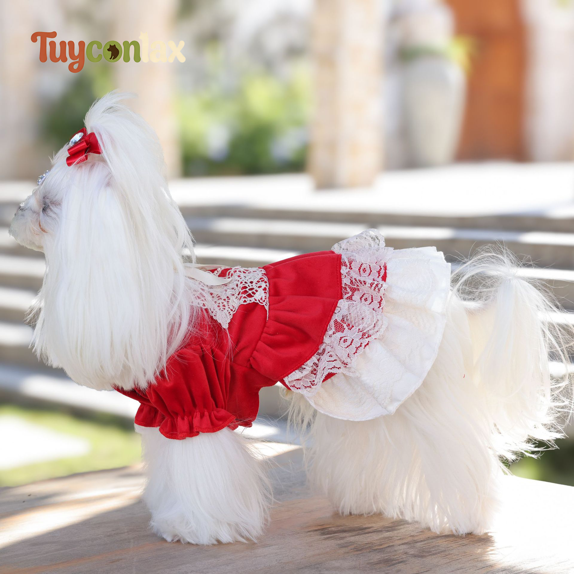Festive Red Lace Dog Tutu Dress | Vintage Holiday Winter Pet Princess Gown