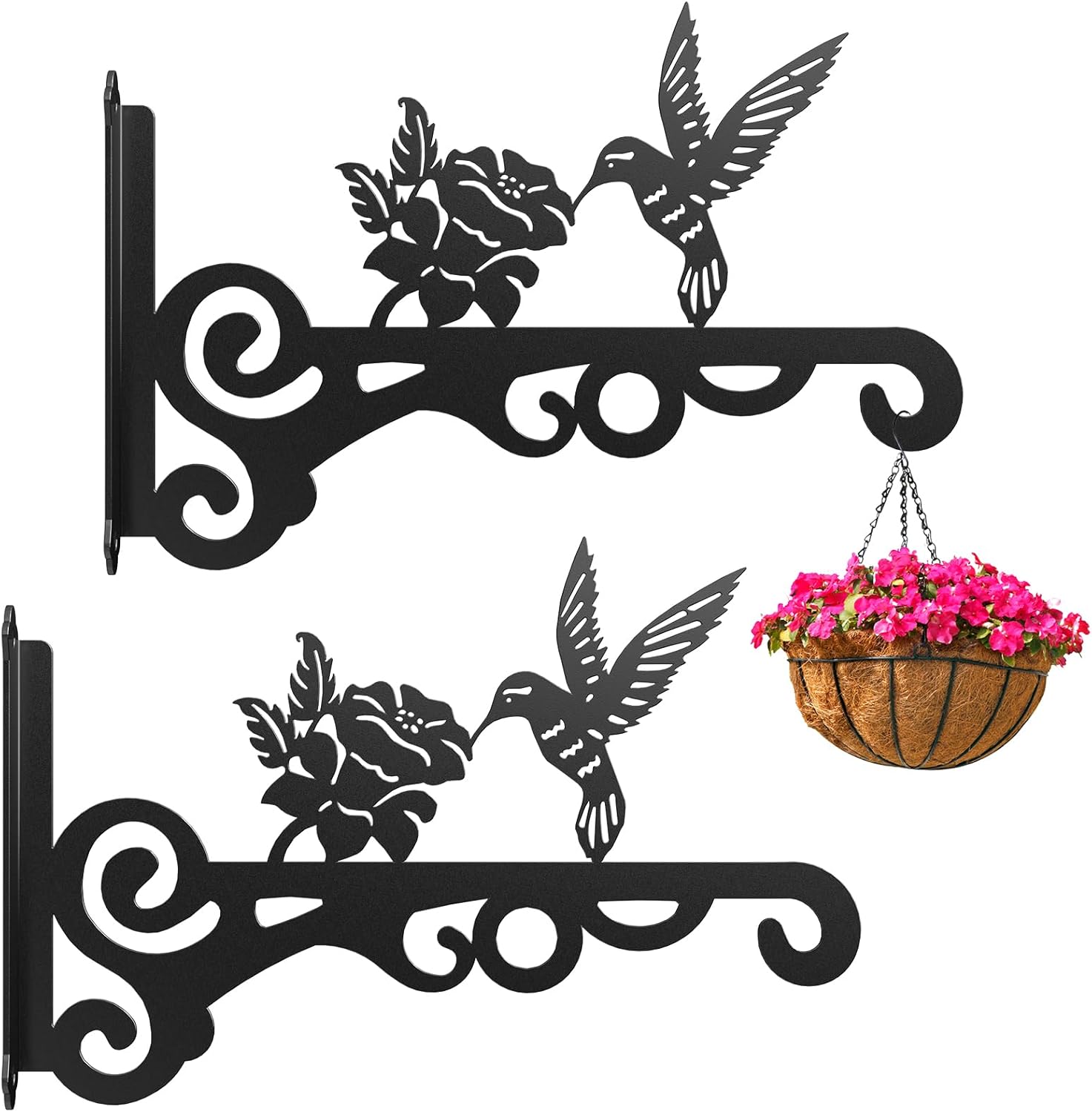 Hummingbird Decorative Metal Wall Plant Hanger Bracket, 8" Heavy Duty, 25 lbs Capacity