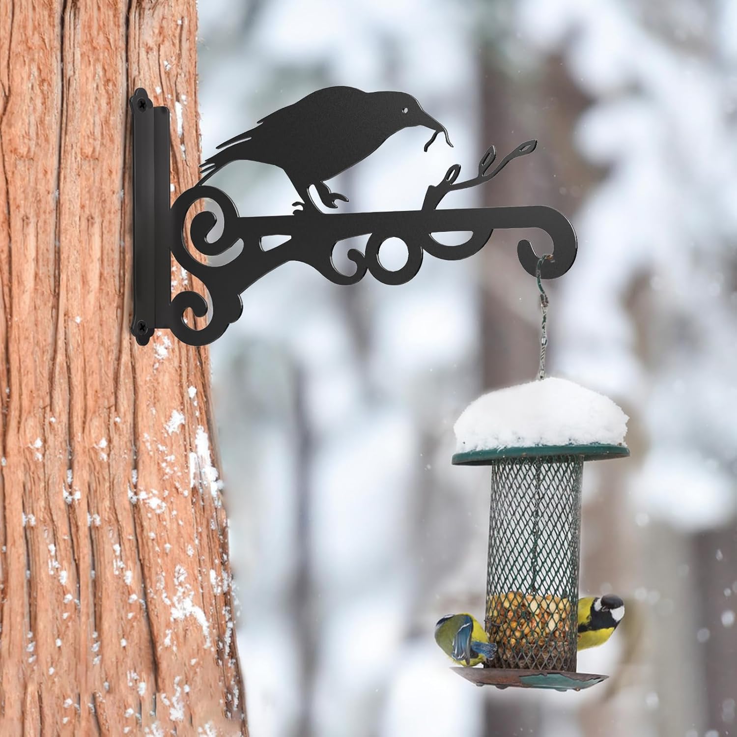 Hummingbird Decorative Metal Wall Plant Hanger Bracket, 8" Heavy Duty, 25 lbs Capacity
