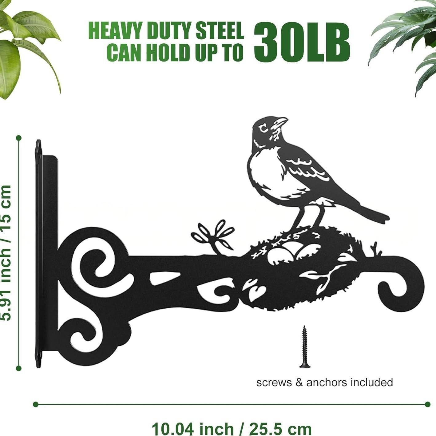 Hummingbird Decorative Metal Wall Plant Hanger Bracket, 8" Heavy Duty, 25 lbs Capacity
