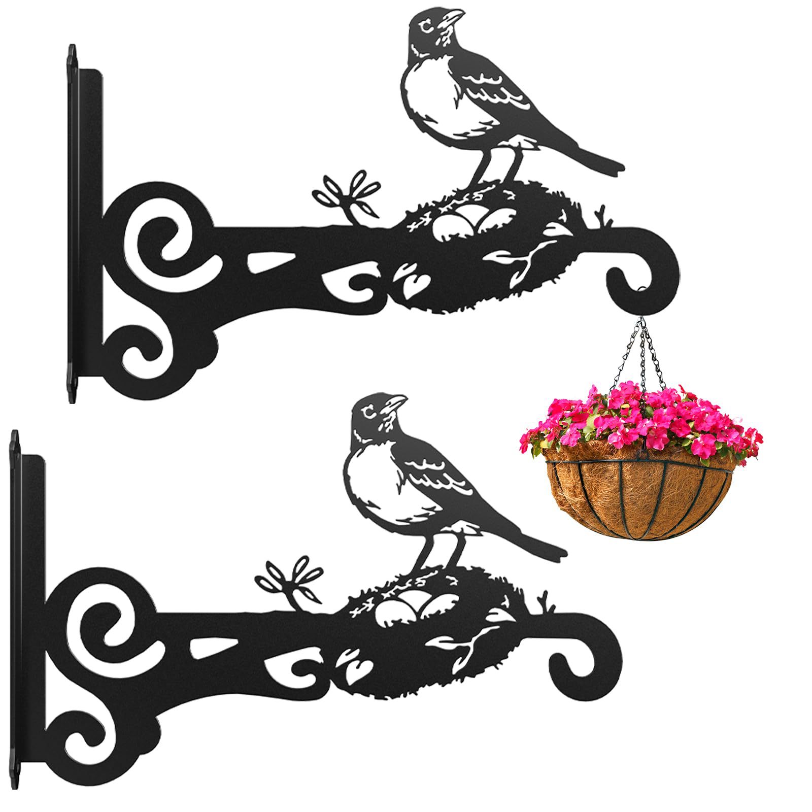 Hummingbird Decorative Metal Wall Plant Hanger Bracket, 8" Heavy Duty, 25 lbs Capacity