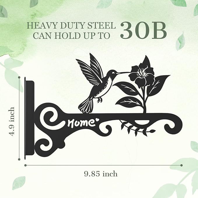 Hummingbird Decorative Metal Wall Plant Hanger Bracket, 8" Heavy Duty, 25 lbs Capacity