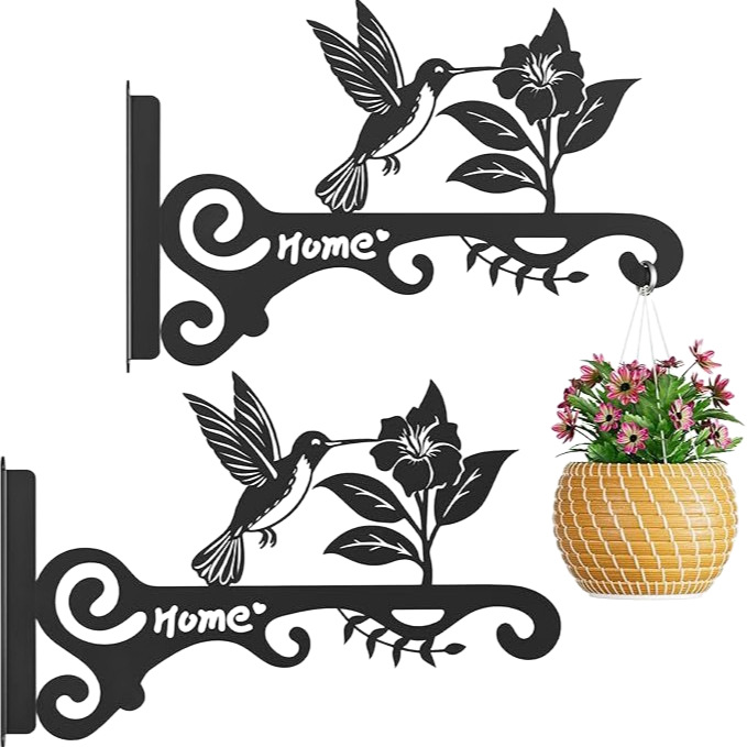 Hummingbird Decorative Metal Wall Plant Hanger Bracket, 8" Heavy Duty, 25 lbs Capacity