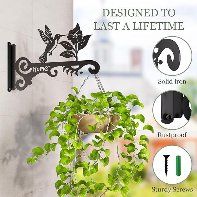 Hummingbird Decorative Metal Wall Plant Hanger Bracket, 8" Heavy Duty, 25 lbs Capacity