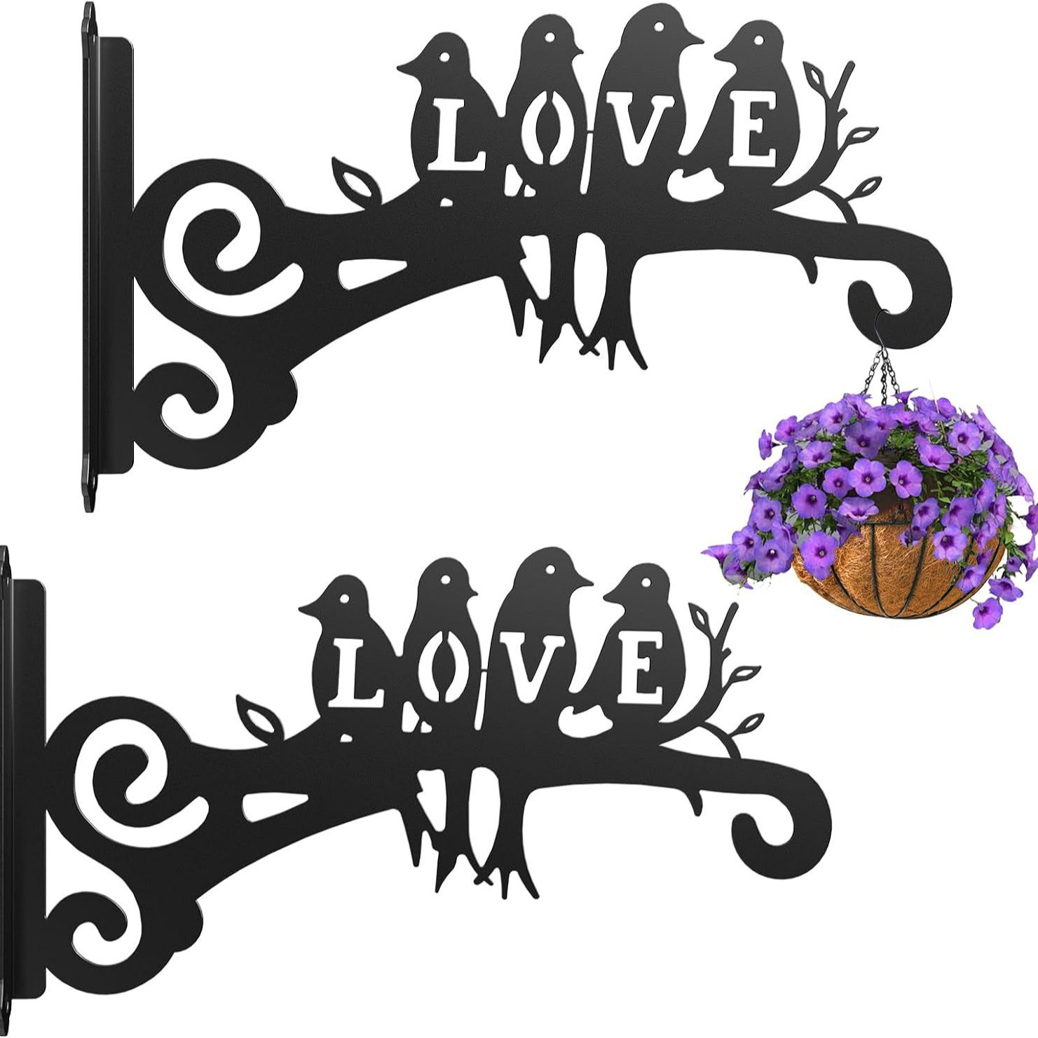 Hummingbird Decorative Metal Wall Plant Hanger Bracket, 8" Heavy Duty, 25 lbs Capacity