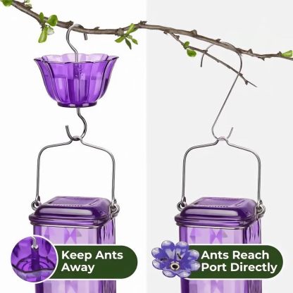 🔥HOT SALE 50% OFF🔥 Outdoors Leak Proof Base Glass Hummingbird Feeder with Ant ,Moat Bee Proof ,6 Feeding Ports 🐦