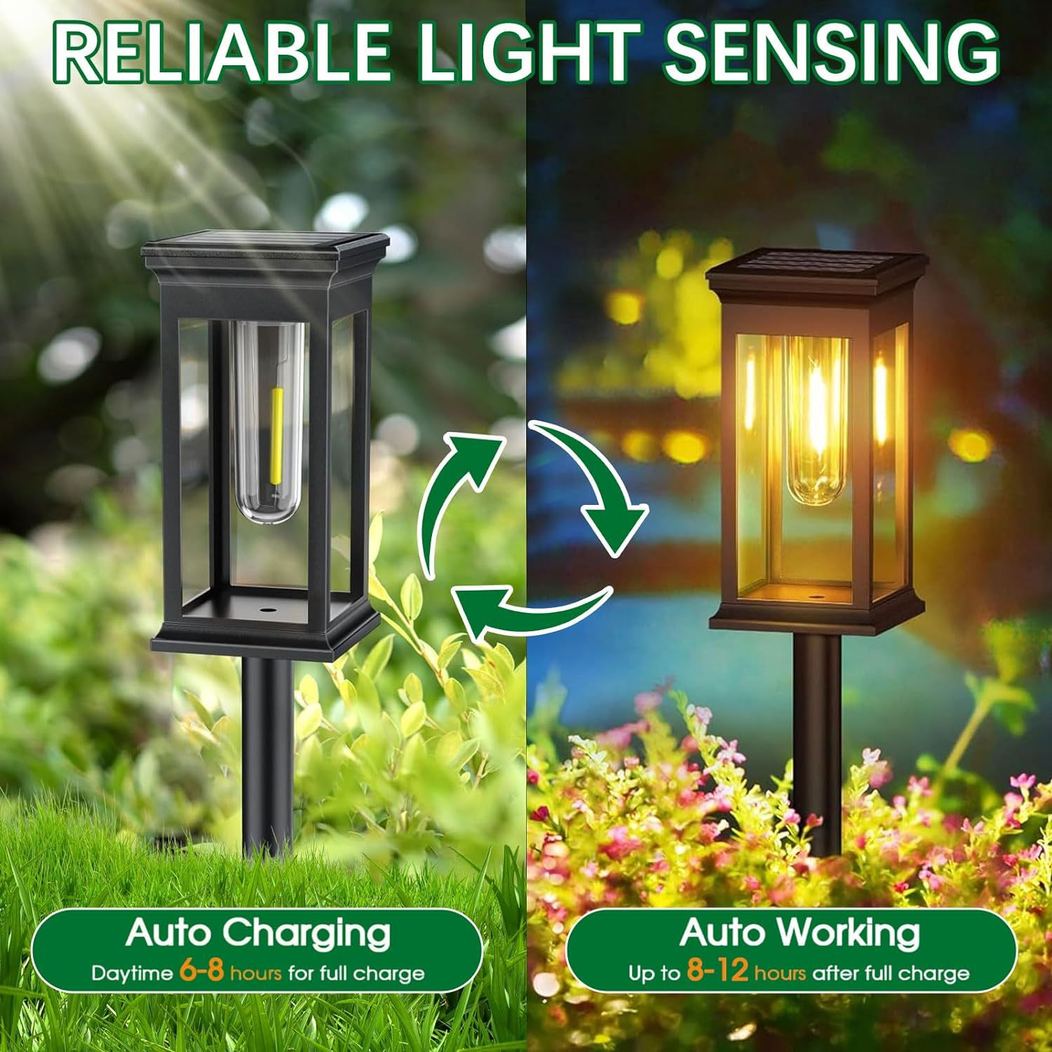 Solar Pathway Lights Outdoor