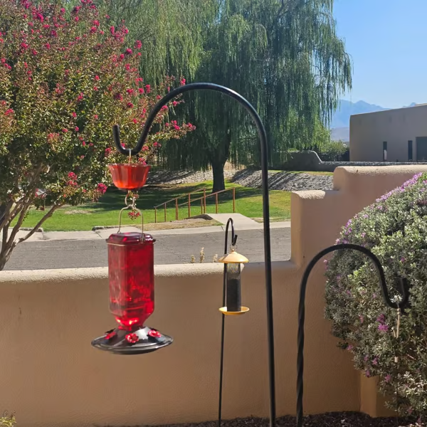 🔥HOT SALE 50% OFF🔥 Outdoors Leak Proof Base Glass Hummingbird Feeder with Ant ,Moat Bee Proof ,6 Feeding Ports 🐦