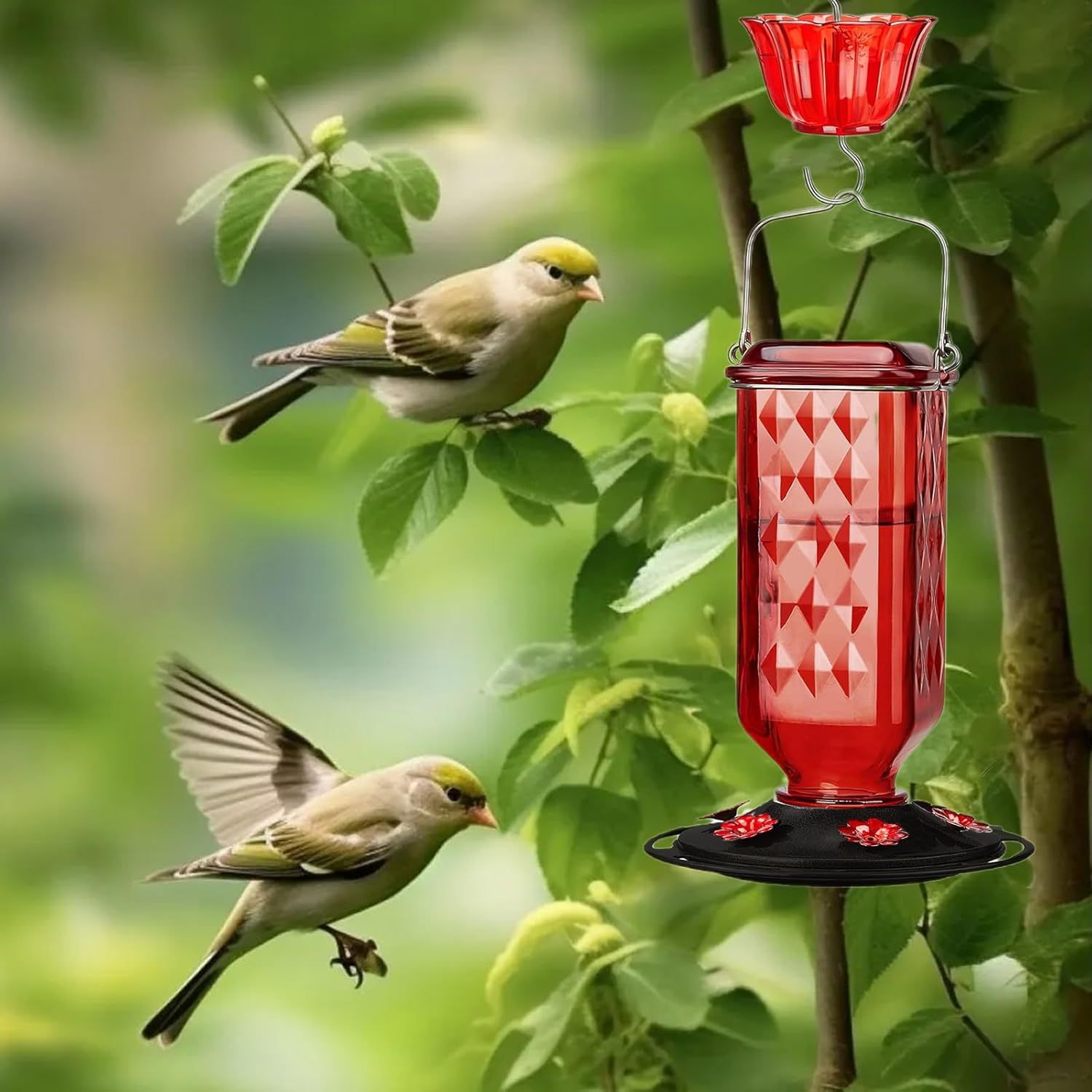 🔥HOT SALE 50% OFF🔥 Outdoors Leak Proof Base Glass Hummingbird Feeder with Ant ,Moat Bee Proof ,6 Feeding Ports 🐦